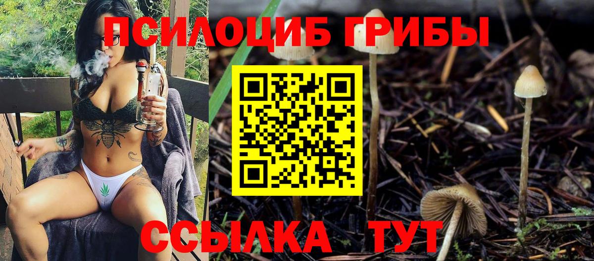 Галлюциногенные грибы Magic Shrooms  Псилоцибиновые грибы MAGIC MUSHROOMS  Тара  Вход с VPN 